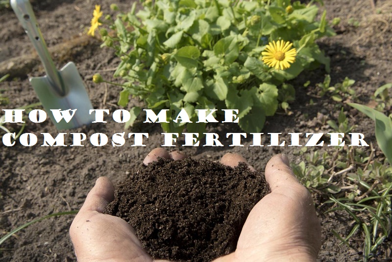 How to make compost fertilizer