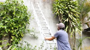 how to use an extension ladder