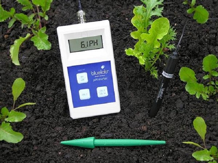 How to Measure Soil Ph