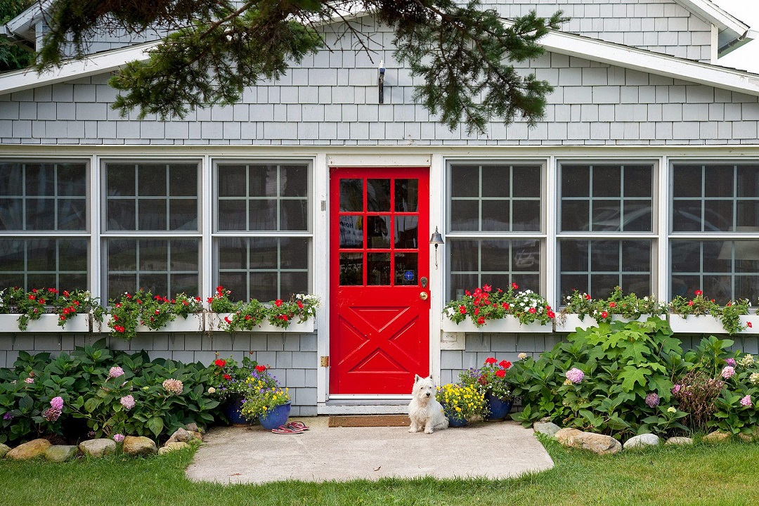 Paint Exterior Door