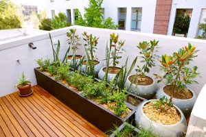 create a balcony garden
