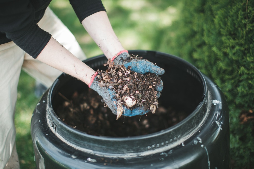 Benefits of Using Rich Compost Tea