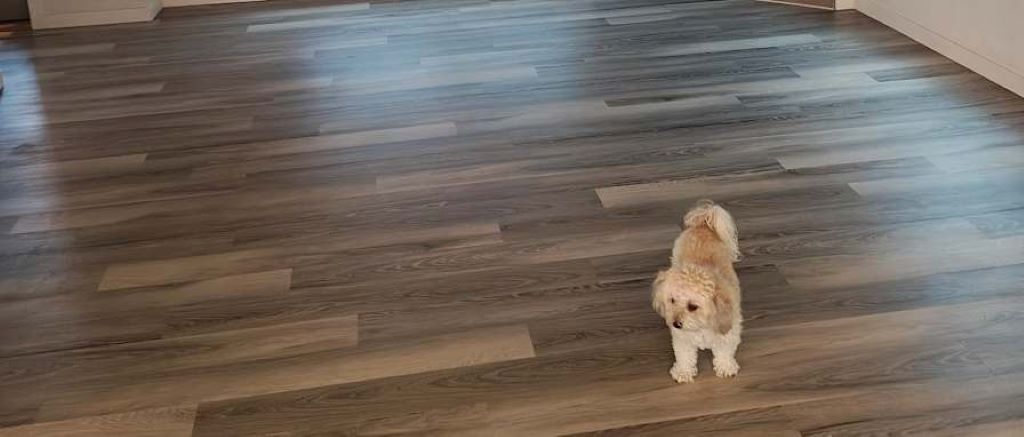 What does pet friendly flooring mean