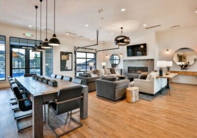 Pet-Friendly Flooring Colorado Springs Homes