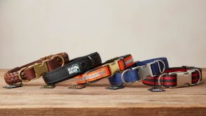 Group of top reviewed collars for large dogs displayed on table